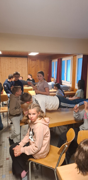 2026 auflajs 154