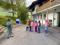 2026 auflajs 284